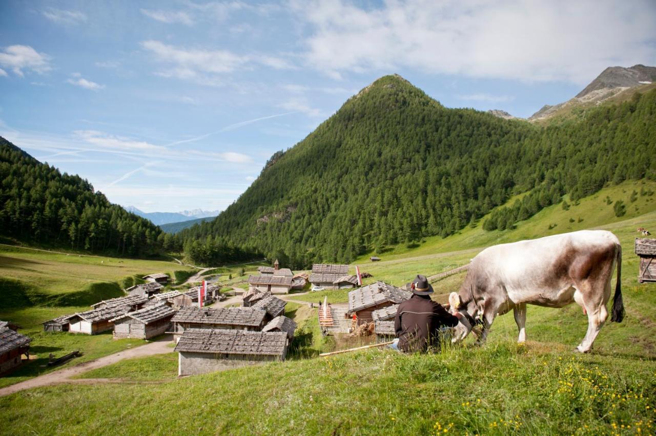 Bed & Breakfast Abis - Dolomites Rio di Pusteria Eksteriør bilde